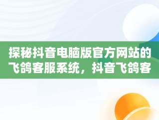 探秘抖音电脑版官方网站的飞鸽客服系统，抖音飞鸽客户端 