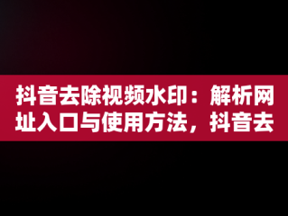 抖音去除视频水印：解析网址入口与使用方法，抖音去去水印解析 