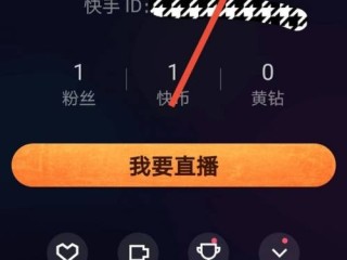 快手直播伴侣32位版本,快手直播伴侣32位版本有什么用处