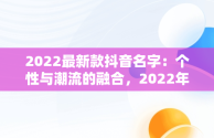 2022最新款抖音名字：个性与潮流的融合，2022年抖音名 