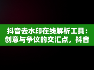 抖音去水印在线解析工具：创意与争议的交汇点，抖音去水印在线解析工具在哪 