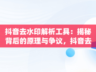 抖音去水印解析工具：揭秘背后的原理与争议，抖音去水印解析app 