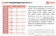 十大跨境电商平台有哪些公司,十大跨境电商平台有哪些