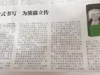 全景写作平台(全景写作平台官网)