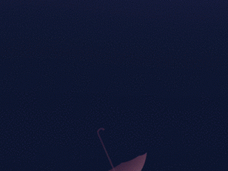 全网最火动态壁纸动物搞笑的,全网最火动态壁纸