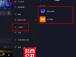 抖音官网在线进入,抖音官网在线进入页面