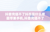 抖音充值不了抖币是什么原因苹果手机,抖音充值不了抖币是什么原因