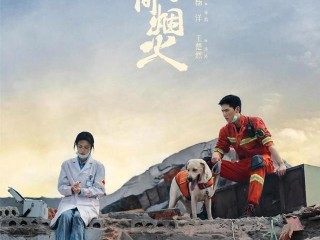 最火的电视剧免费观看,最火电视剧2020排行榜免费