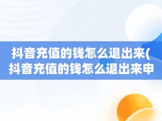 抖音充值的钱怎么退出来(抖音充值的钱怎么退出来申请未成年退款)