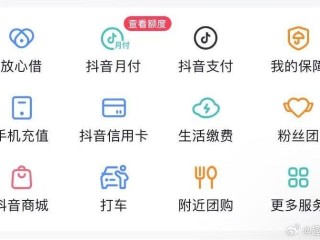 成年抖音app,成年抖音打赏的钱能不能退回来呢
