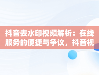 抖音去水印视频解析：在线服务的便捷与争议，抖音视频去水印在线解析网 