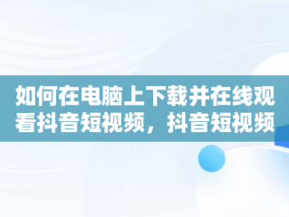 如何在电脑上下载并在线观看抖音短视频，抖音短视频在线观看电脑版下载安装 
