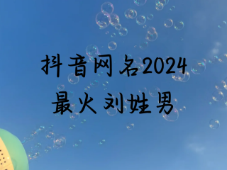 刘姓抖音名字大全男,刘姓抖音名字大全男生