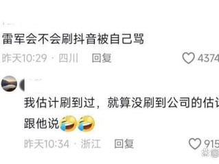 关于雷军三个表情回应AI配音恶搞骂人的信息