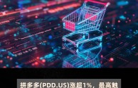 跨境电商自营平台有哪些(跨境电商自营平台的优缺点)