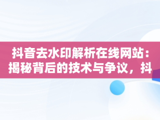 抖音去水印解析在线网站：揭秘背后的技术与争议，抖音去水印网站解析免费 