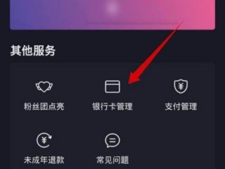 抖音极速版下载安装免费版,抖音极速版下载安装免费