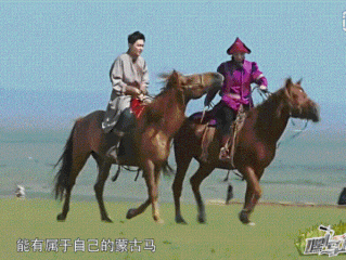 快手草原公主被杀的原因,快手草原公主被杀