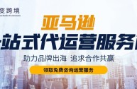 艾杰美跨境电商代运营(艾杰美跨境电商的销售好做吗)