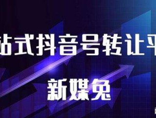 视频自媒体平台有哪些赚钱,视频自媒体平台有哪些