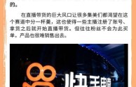 快手直播,快手直播平台