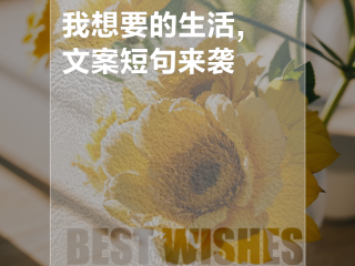 文案短句干净治愈关于生活,最火文案短句生活