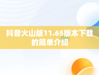 抖音火山版11.65版本下载的简单介绍