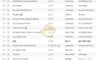 关于抖音最火英文歌曲的信息