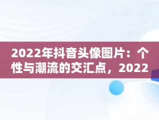 2022年抖音头像图片：个性与潮流的交汇点，2022抖音头像图片大全 