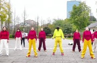 中国范儿最火舞蹈视频(中国范儿最火舞蹈视频完整版)