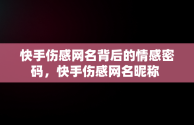 快手伤感网名背后的情感密码，快手伤感网名昵称 