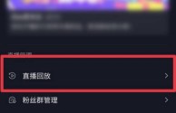 电脑抖音直播怎么看回放视频,电脑抖音直播怎么看回放