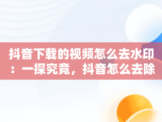 抖音下载的视频怎么去水印：一探究竟，抖音怎么去除原视频水印 