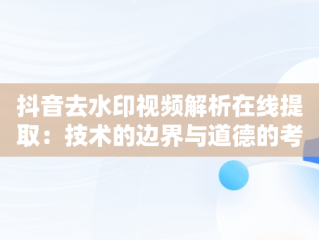 抖音去水印视频解析在线提取：技术的边界与道德的考量，一键去水印免费网址 