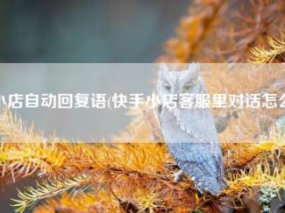 快手小店客服电话,快手小店客服