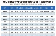 中国跨境电商代运营公司排名前十,中国跨境电商代运营公司排名