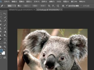 photoshop免费下载网址,photoshop免费下载