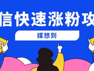 快手刷粉平台网站的简单介绍