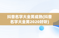 抖音名字大全男成熟(抖音名字大全男2020好听)