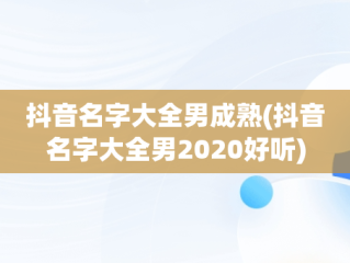 抖音名字大全男成熟(抖音名字大全男2020好听)