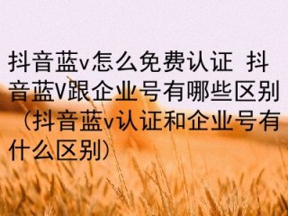 抖音外卖怎么开通蓝v(抖音蓝v怎么开通抖音小店)