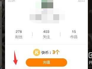 快手网页版在线使用(快手网页版在线使用怎么设置)