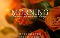 抖音晨曦的视频内容到底是什么(抖音里晨曦到底有什么瓜)