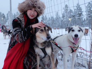 女主播家的哈士奇天季,直播女主家的哈士奇天秀