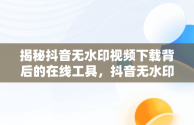 揭秘抖音无水印视频下载背后的在线工具，抖音无水印视频解析在线使用 