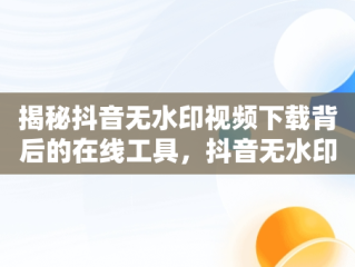 揭秘抖音无水印视频下载背后的在线工具，抖音无水印视频解析在线使用 