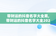 带财运的抖音名字大全男,带财运的抖音名字大全2020