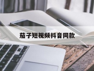 包含茄子短视频抖音同款的词条
