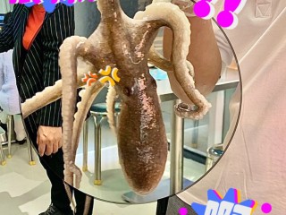 女主播吃活章鱼被吸盘反杀(女主播吃活章鱼被吸盘反杀视频)