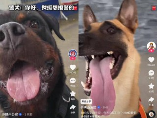 快手网页版在线观看高然视频的简单介绍